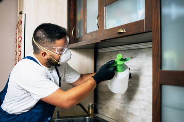 Best Termite Control Services  in Schriever, LA