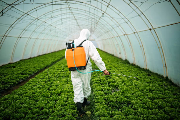 Insect Control in Schriever, LA