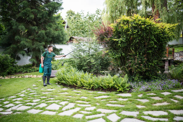 Best Wasp Removal Services  in Schriever, LA