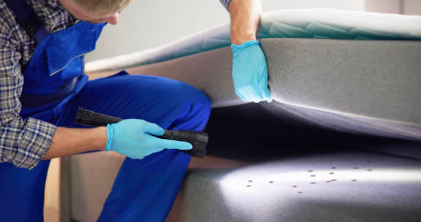 Best Best Pest Control Companies  in Schriever, LA